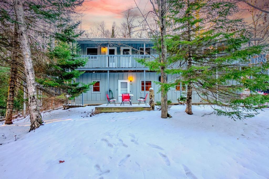Hidden Gem, 3 Bed Cozy Condo - Dogs Welcomed Bayfield Exterior foto